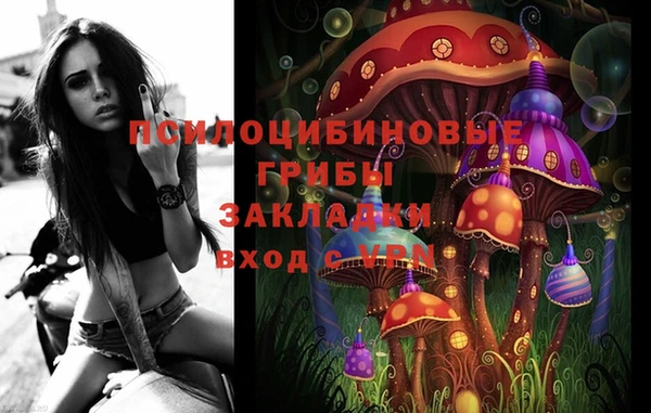 ECSTASY Белокуриха