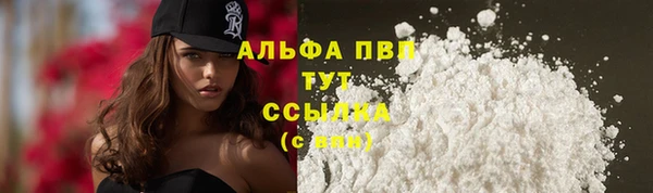 ECSTASY Белокуриха