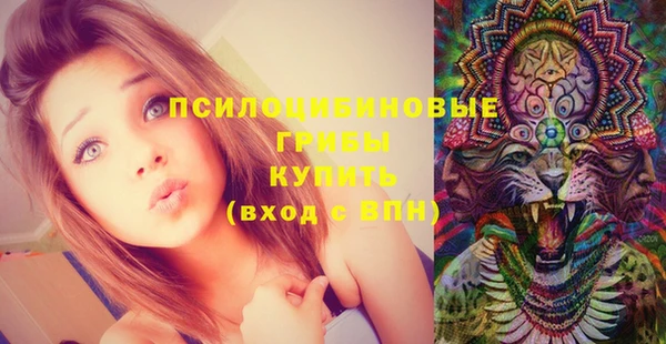 ALPHA PVP Беломорск